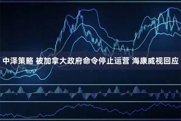 中泽策略 被加拿大政府命令停止运营 海康威视回应
